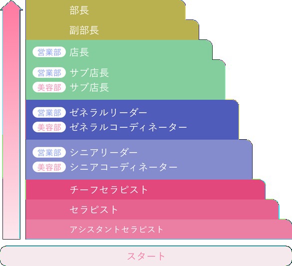 KBLのキャリアステップ